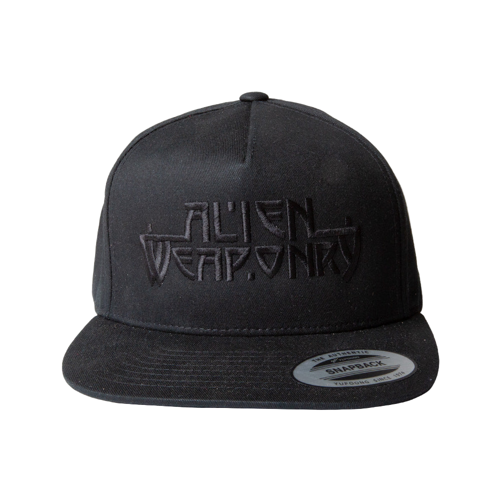 Black Logo Snapback Hat
