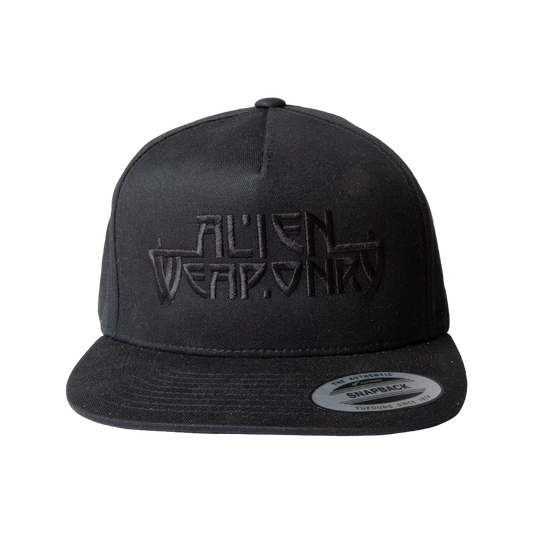 Black Logo Snapback Hat
