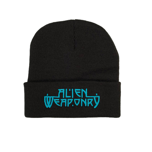 Blue Logo Beanie